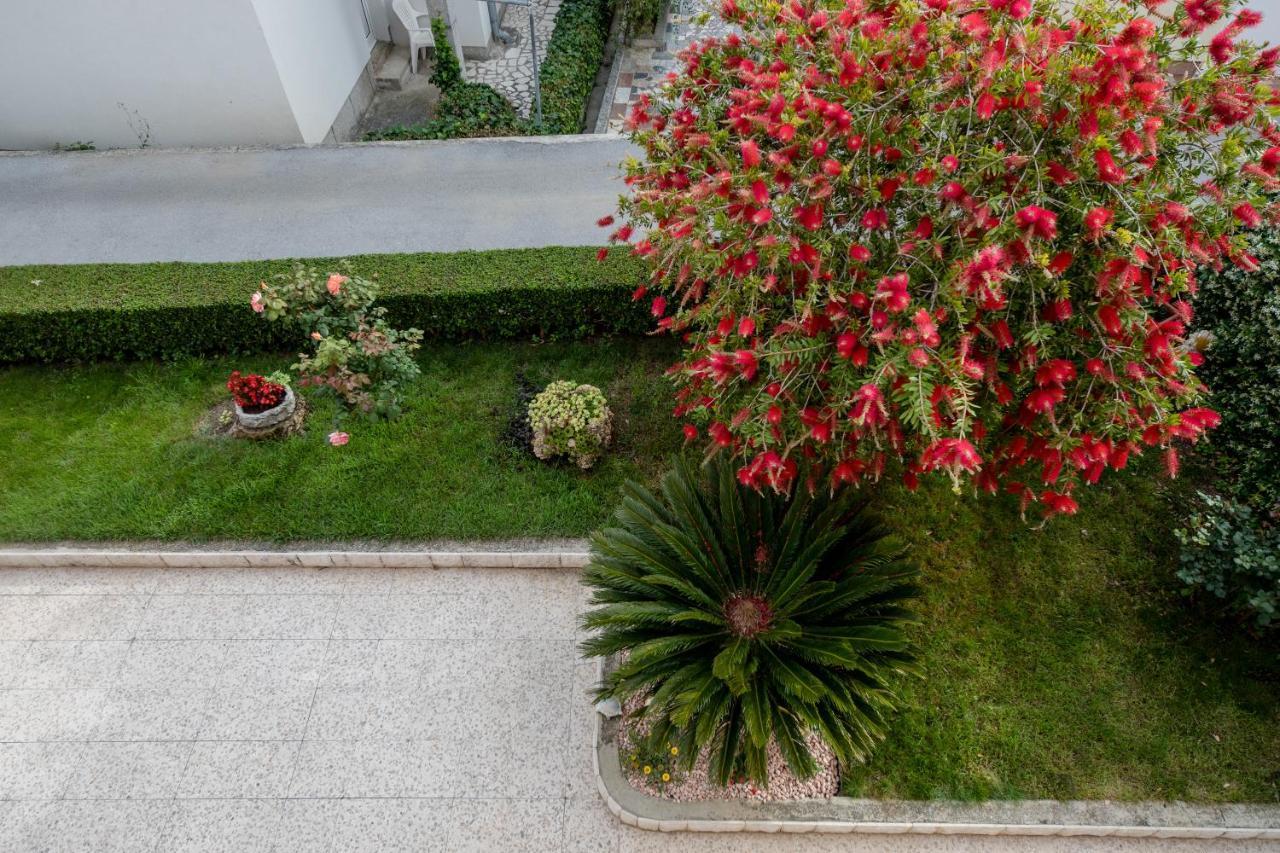 Apartmani Marica Beg * Palit