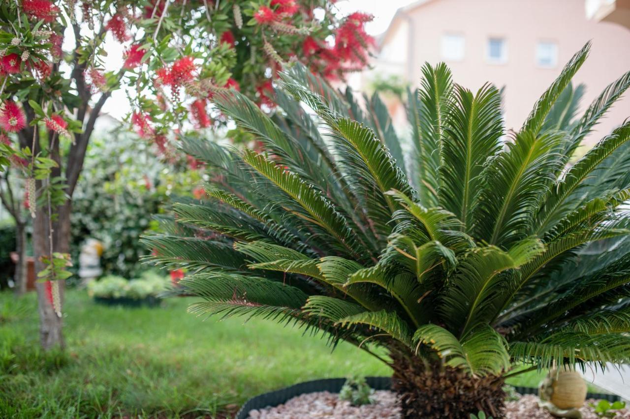 Apartmani Marica Beg Apartment Palit